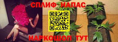 мдпв Коммунар