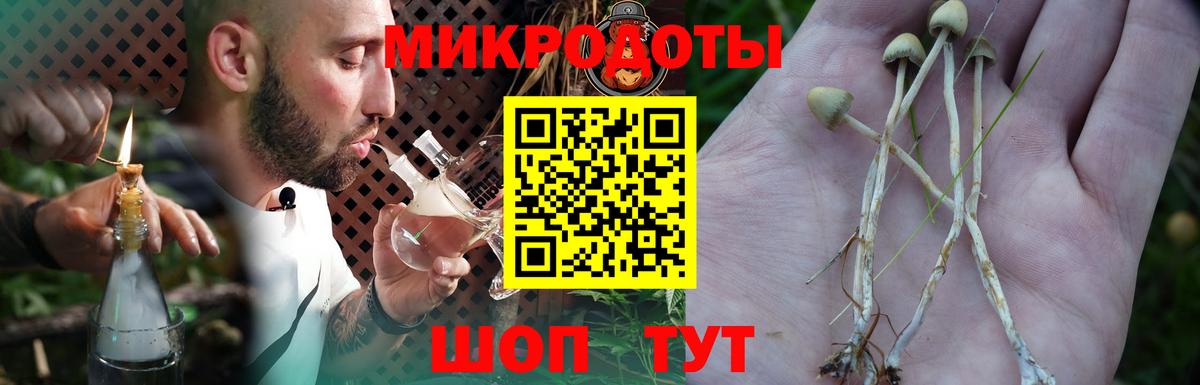 где найти наркотики  Вход с VPN  Каспийск  Галлюциногенные грибы GOLDEN TEACHER 